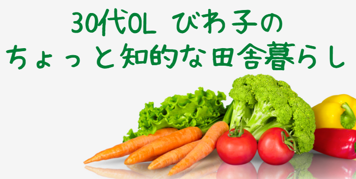 30代OL びわ子のちょっと知的な田舎暮らし